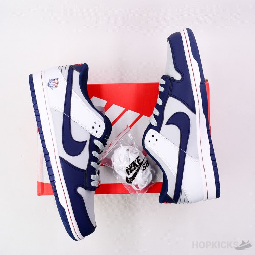 brooklyn nets sb dunks